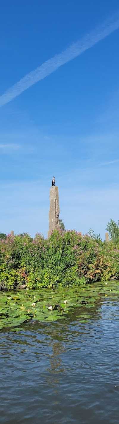 RIJO Bootverhuur foto 2