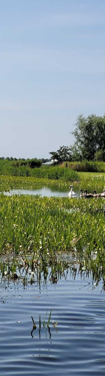 RIJO Bootverhuur foto 4