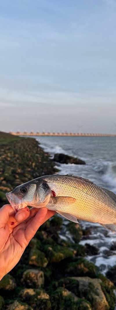 Bass Hengelsport foto 2