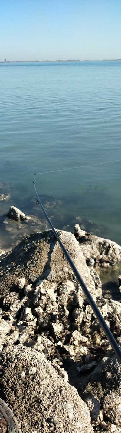 Bass Hengelsport foto 5