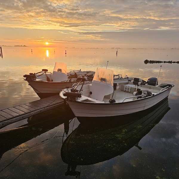 Visboot verhuur Veluwemeer Angelbootverleih Angelbootvermietung Veluwemeer