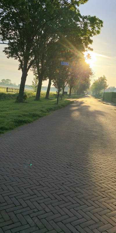 aas en voershop aalst foto 3