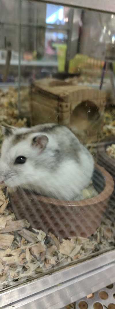 Rentenaar Dierenspeciaalzaak foto 3