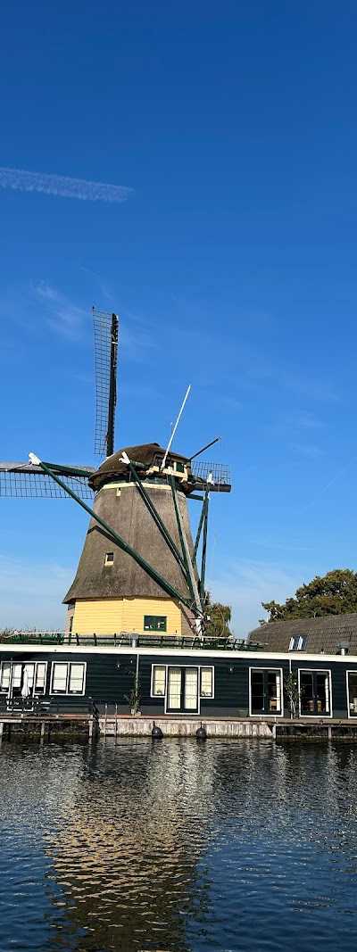 Delos Yachtcharter foto 5