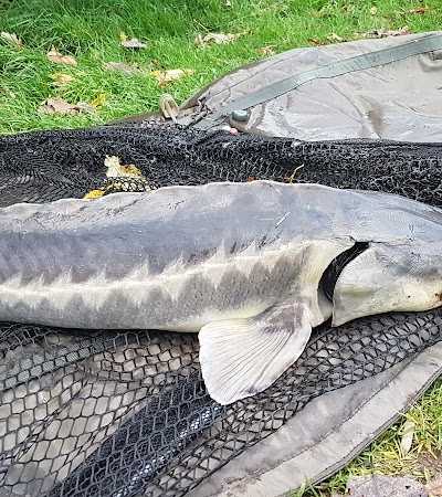 Hengelsportvereniging "Hoop Op Geluk" foto 4