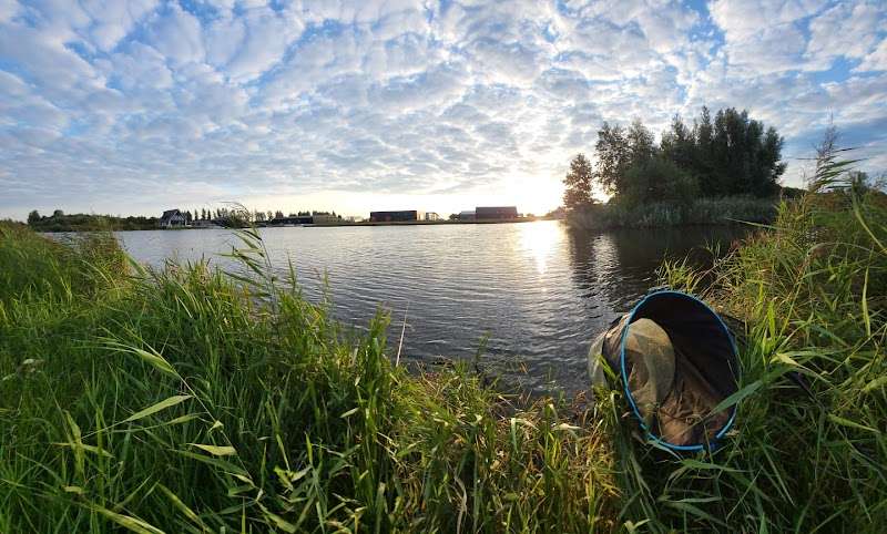 Hengelsportvereniging De Goede Vangst🎣