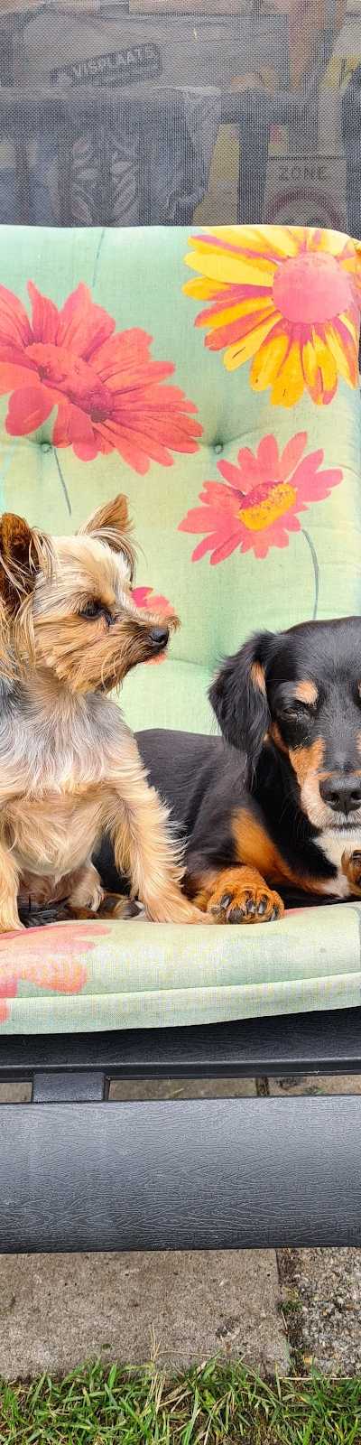 Hengelsportcentrum Arnold & Ondersteuning foto 3