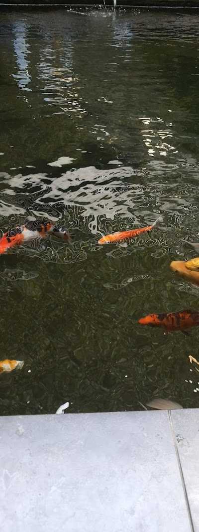 Nipro Hengelsport foto 3