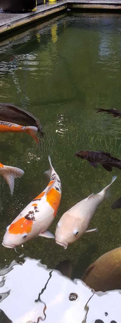 Nipro Hengelsport foto 5