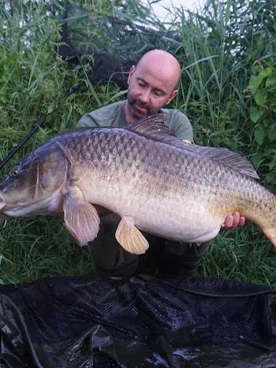 BFP Carp Store foto 4