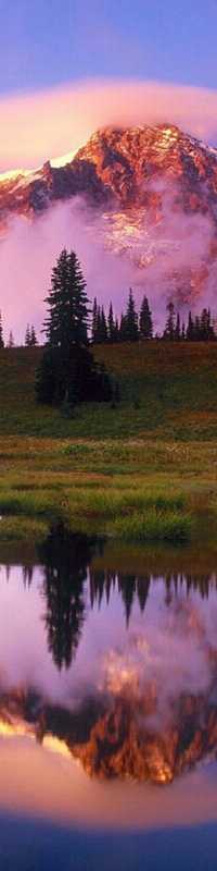 Pro-Fish Hengelsport