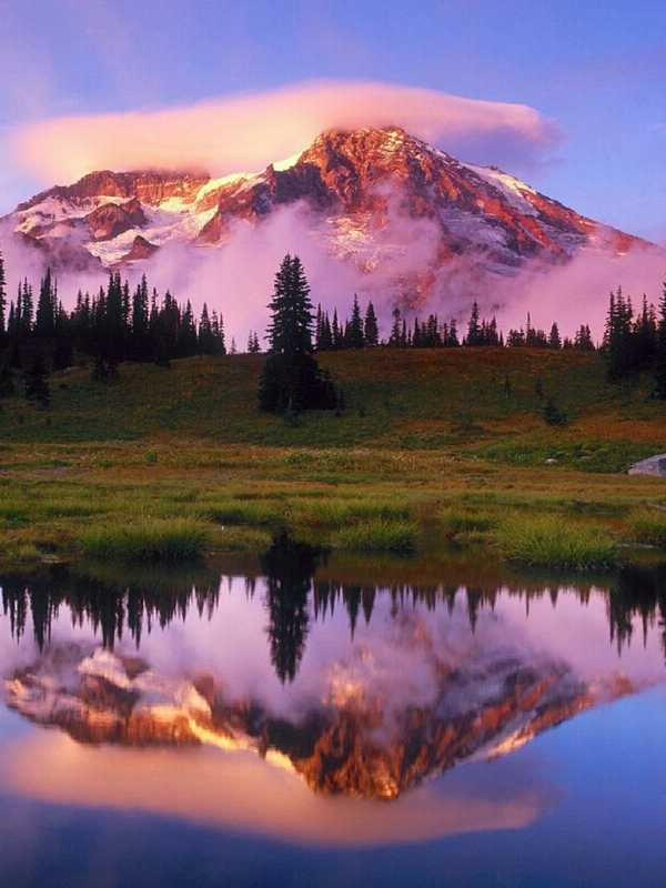 Pro-Fish Hengelsport