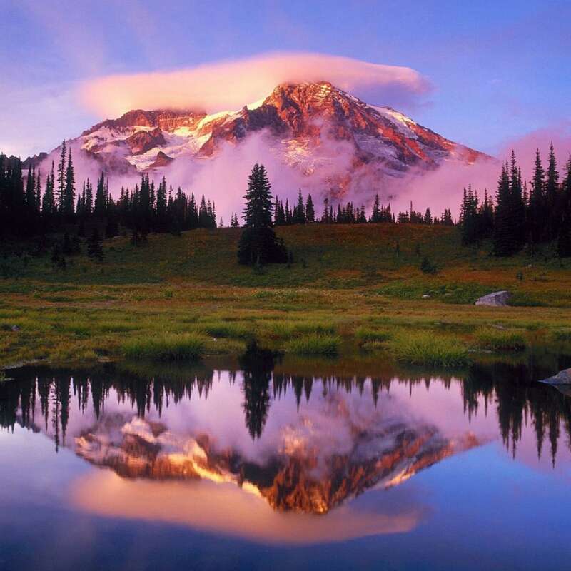 Pro-Fish Hengelsport