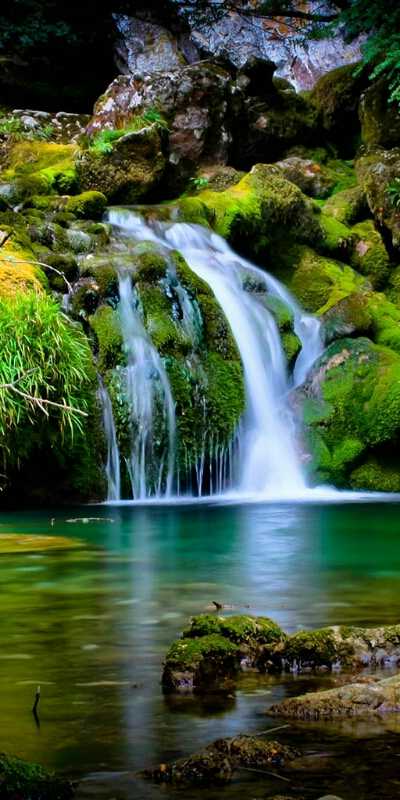 Pro-Fish Hengelsport foto 3