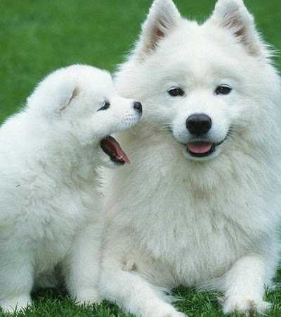 Pro-Fish Hengelsport foto 5