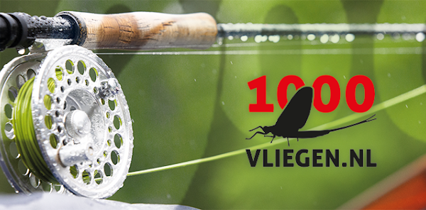 1000vliegen.nl 🎣
