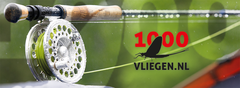 1000vliegen.nl 🎣