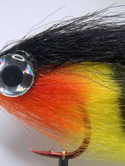 1000vliegen.nl 🎣 foto 4