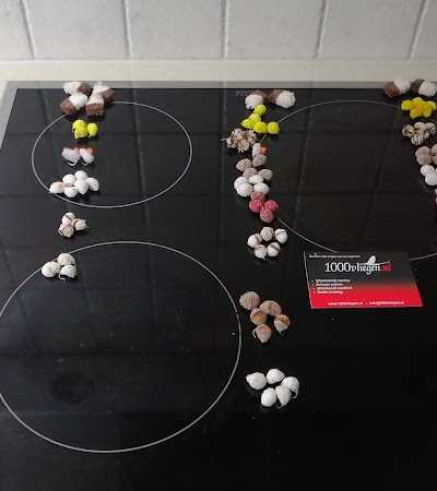 1000vliegen.nl 🎣 foto 5