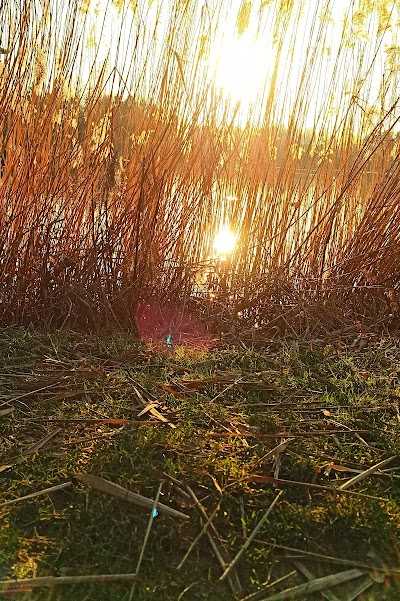 Het Heijderbos Bootsverleih foto 4