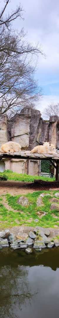 Wagensveld Hengelsport