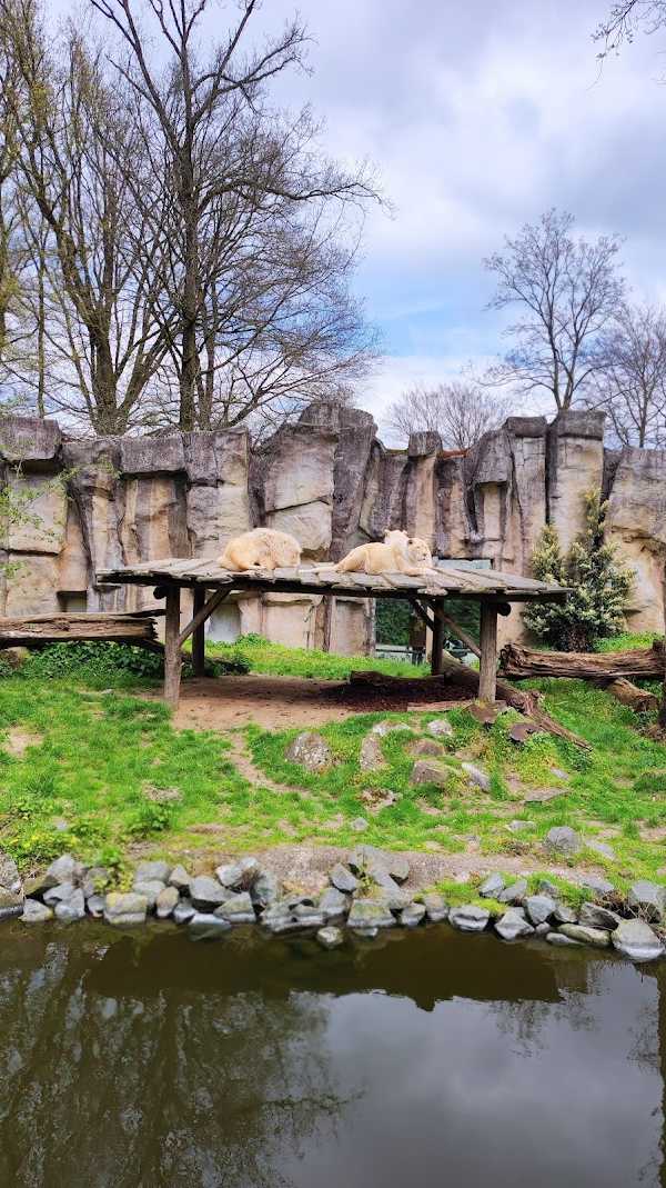 Wagensveld Hengelsport