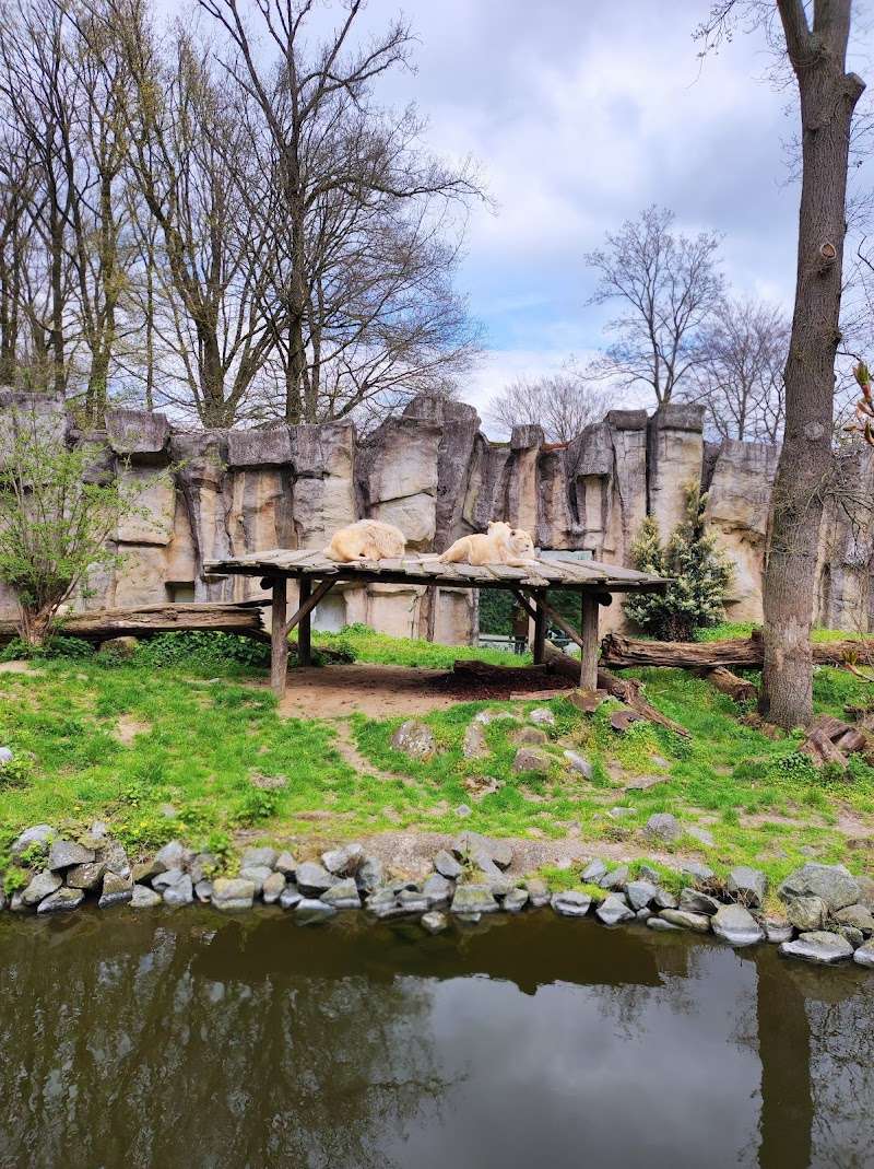 Wagensveld Hengelsport