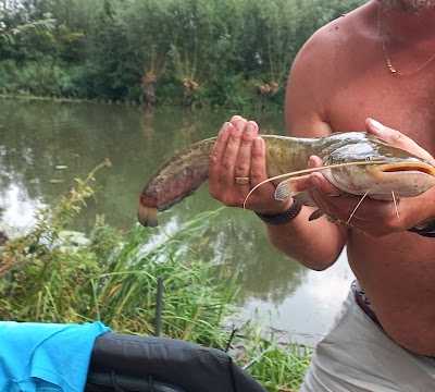 Wagensveld Hengelsport foto 4