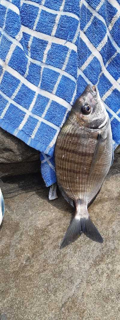 Ahoy Hengelsport BV foto 3