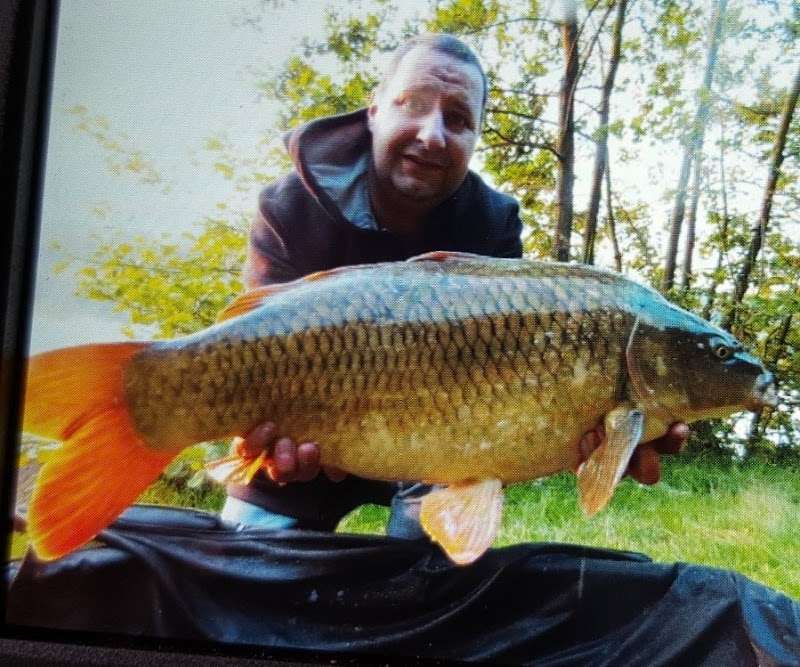 Karpervissen Weddermeer