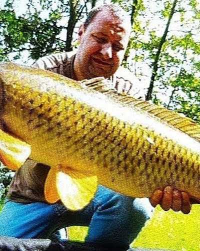 Karpervissen Weddermeer foto 4