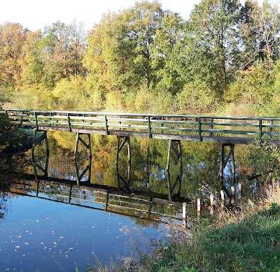 Karpervissen Weddermeer foto 5