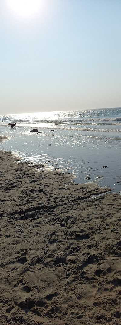 Bootverhuur / Aquafun foto 3