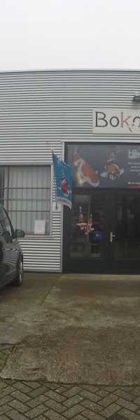 Bokoi Koi & Hengelsport Center Limburg