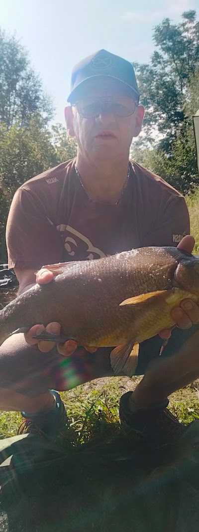 Bokoi Koi & Hengelsport Center Limburg foto 3