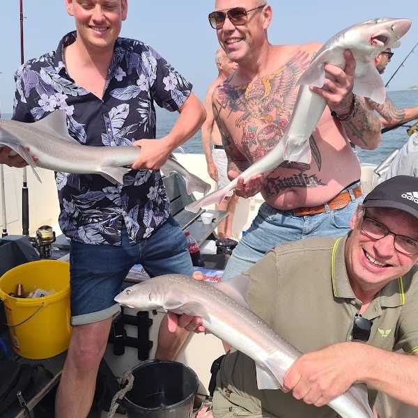 Waypoint sportvis charters