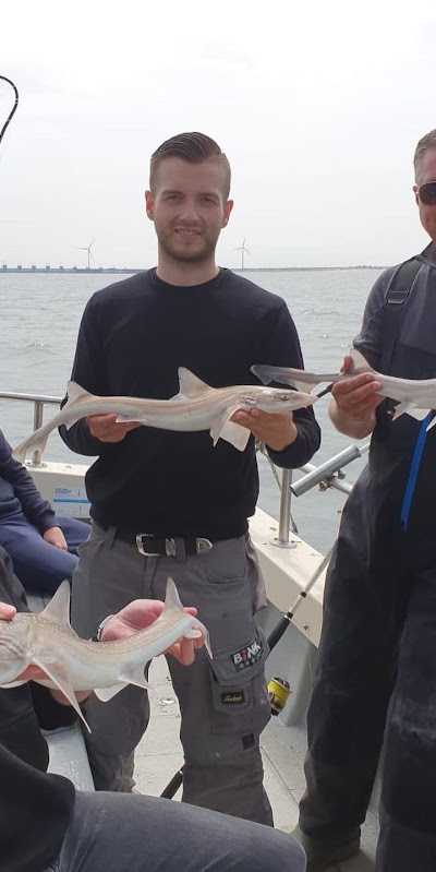 Barracuda Sportvisserij foto 3