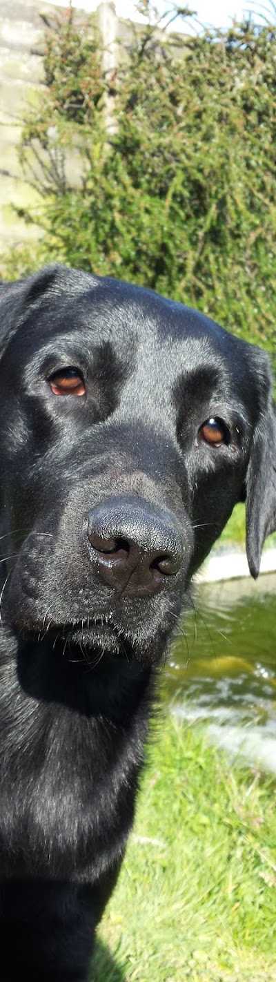 Parry's Diervoer & Hengelsport Vissen foto 4