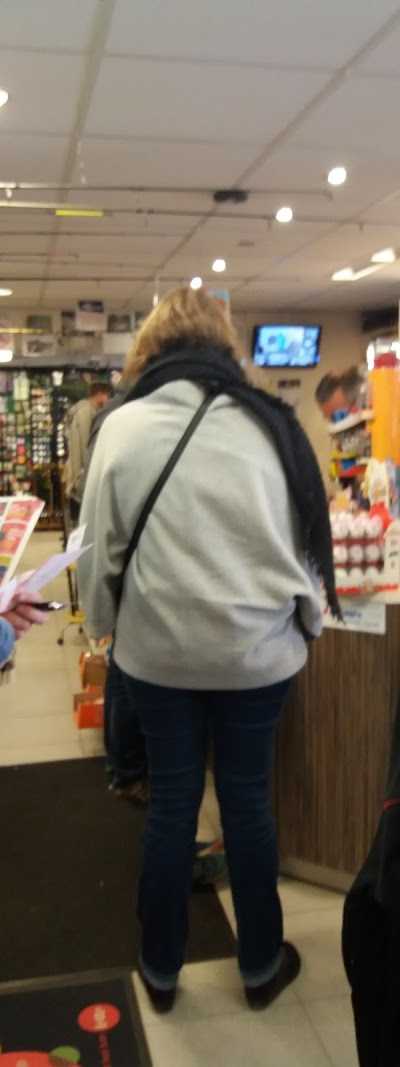 Hengelsport Den Demer foto 2