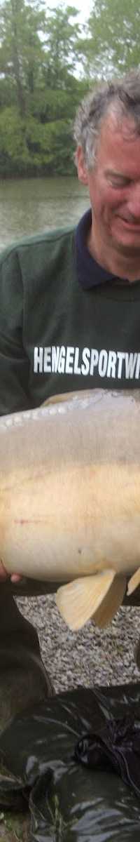 Aanbiedinghengelsport