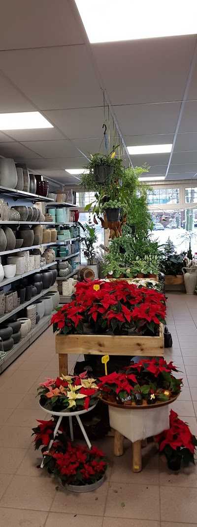 Jackel Visser - Tuin & Dier - foto 2