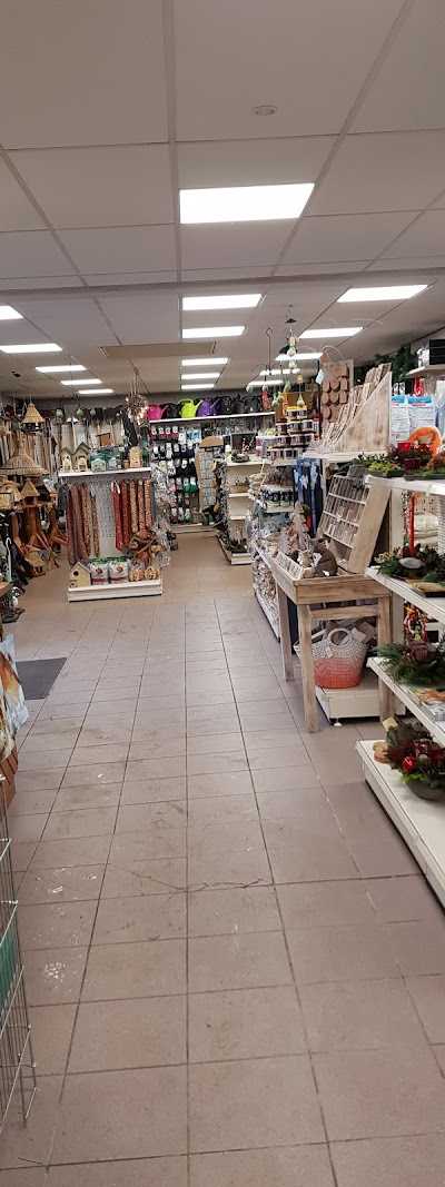 Jackel Visser - Tuin & Dier - foto 3