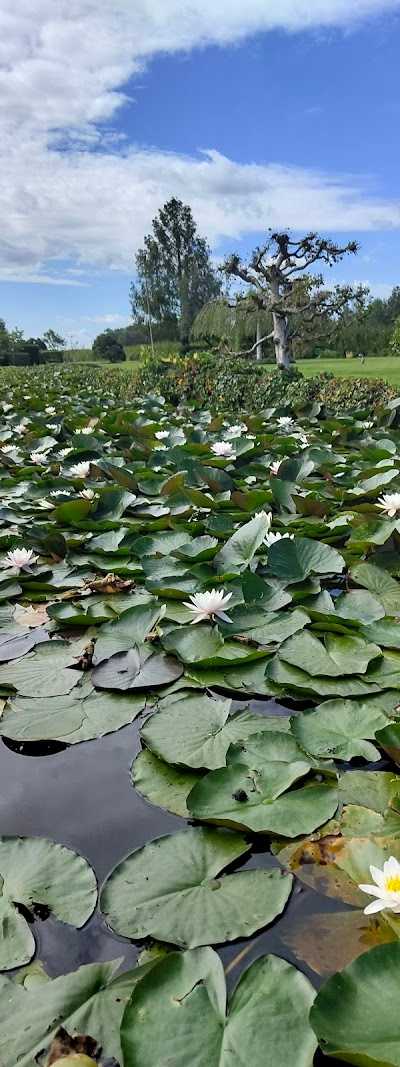 L.G. Groenendijk foto 2