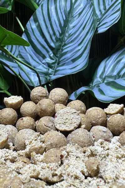 carpcatchers.nl foto 2