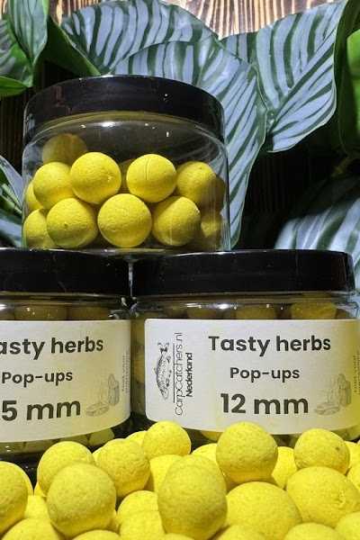 carpcatchers.nl foto 3