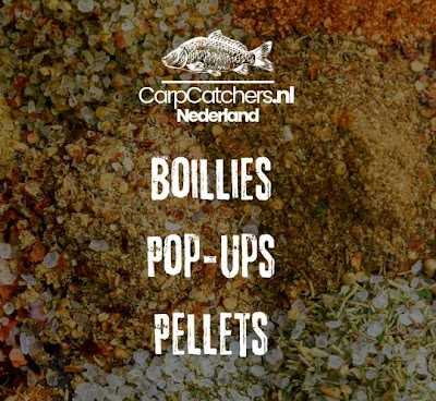 carpcatchers.nl foto 4