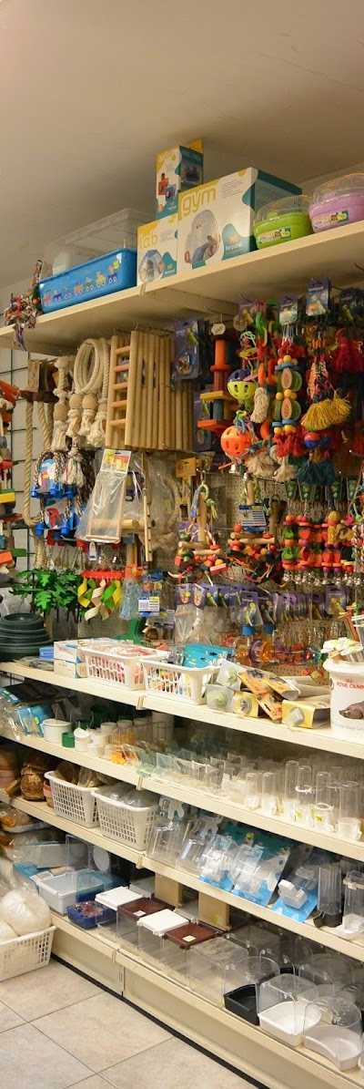 Dierenspeciaalzaak Pierre Beelen foto 4