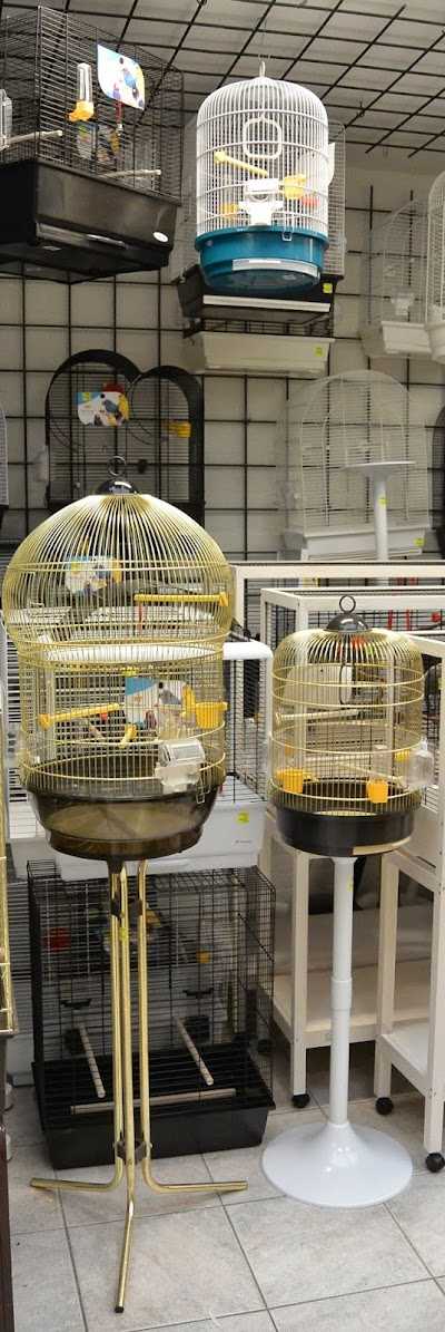 Dierenspeciaalzaak Pierre Beelen foto 5