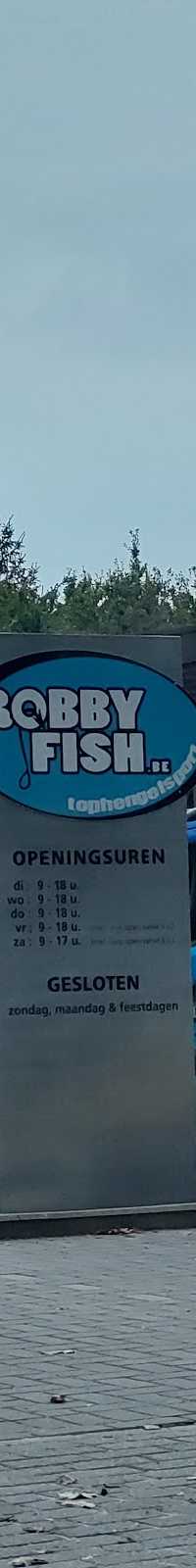 Robby Fish BV