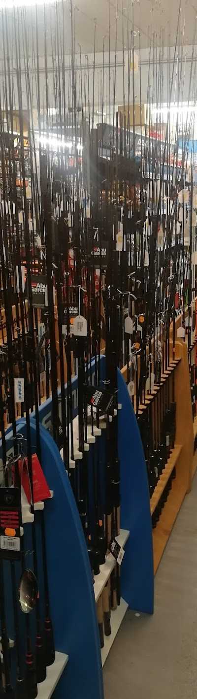 Robby Fish BV foto 2